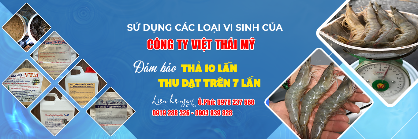 Công ty TNHH MT Môi Trường Việt Thái Mỹ